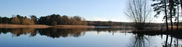 Frensham Ponds, copyright Elodie Curran