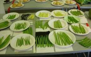 Paper plates of beans from the allotment.