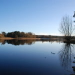 Large pond, trees and blue sky