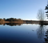 Large pond, trees and blue sky