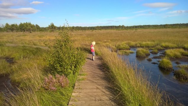 Child standing on boardwalk. Water to right.