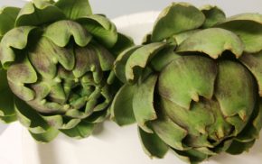 Two fresh green artichokes on a white plate