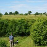 Man and dog in park