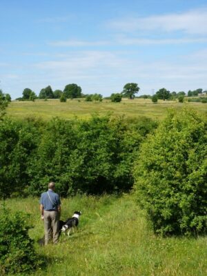 Man and dog in park