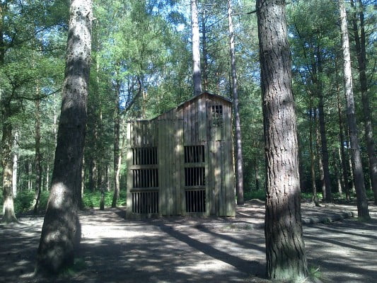 Wooden structure in a wooded area.