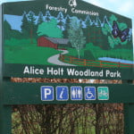 Green, wooden entrance sign for Alice Holt Forest. Illustration of forest and symbols showing facilities