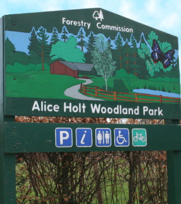 Green, wooden entrance sign for Alice Holt Forest. Illustration of forest and symbols showing facilities