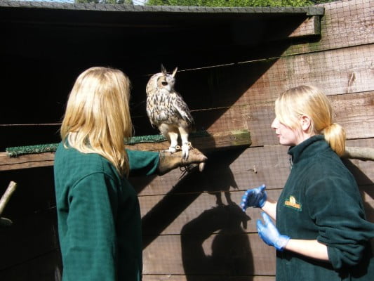 two females, one holding an owl.