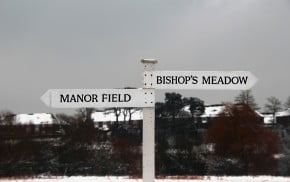 Bishops Meadow, © A Perrin