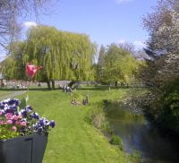 Park, river, blue white and pink flowers