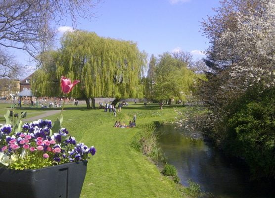 Park, river, blue white and pink flowers