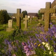 Cross shaped headstones, purple wild flowers in forground