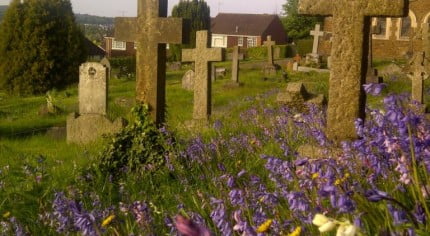 Cross shaped headstones, purple wild flowers in forground