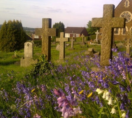 Cross shaped headstones, purple wild flowers in forground