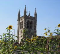 Church with sunflowers in front.