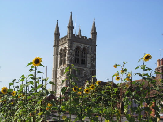 Church with sunflowers in front.