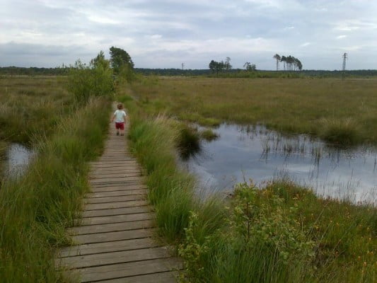 Pathway with moat either side, and long grass.