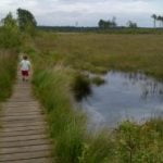 Pathway with moat either side, and long grass.