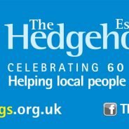 The Hedgehogs logo