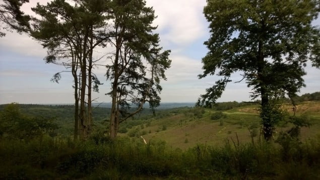 view of a landscape