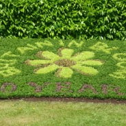 Britain in Bloom spelled out with plants. © Farnham Town Council