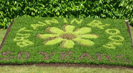 Britain in Bloom spelled out with plants. © Farnham Town Council