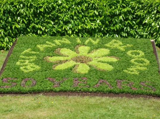 Britain in Bloom spelled out with plants. © Farnham Town Council