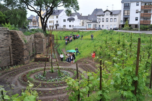 Large, circular vegetable bed at bottom of a bank of vegetables.