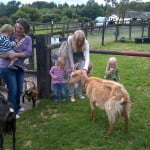 Two females, and children feeding goats at a farm