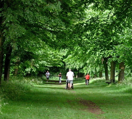 People, trees, running, walking, Park. © Jenny Bray