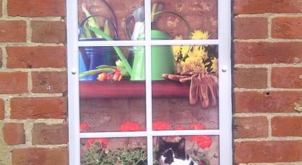 Drawing of black and white cat looking out potting shed window.© Farnham Town Council