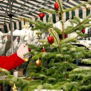 A male dressed as Father Christmas standing next to a Christmas tree