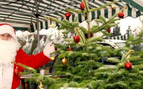 A male dressed as Father Christmas standing next to a Christmas tree