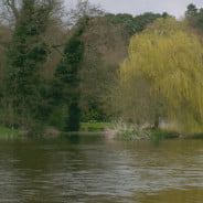 River with trees surrounding