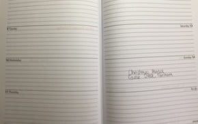 pages of a diary.