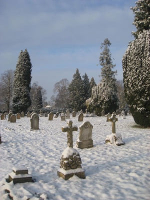 Snow, grave stones, trees in background, blue sky