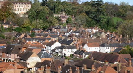 Town scene showing roof tops, trees and Castle in the background.