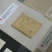 biscuit in a display case.