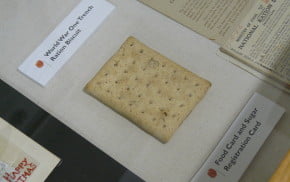 biscuit in a display case.