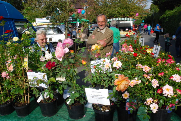 Roses in plant pots on a market stall. Stallholders in background.