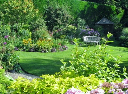 Pretty garden with a bench in the background.