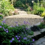 Courtyard garden in the summer. Gravel in the middle, surrounded by plants.