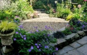 Courtyard garden in the summer. Gravel in the middle, surrounded by plants.