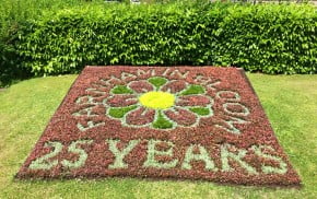 Flowers planted to spell out Farnham in Bloom 25 years