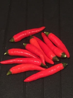 Red chilli peppers