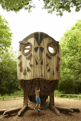 wooden owl structure, boy playing. trees surrounding.