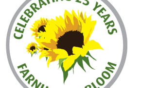 three drawings of yellow sunflowers, green text around the edge.