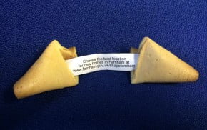 fortune cookie with message
