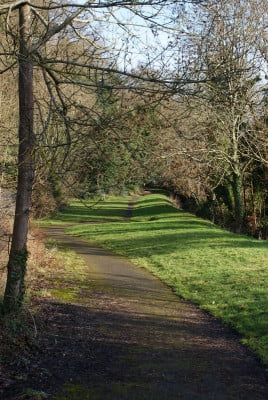 River Wey