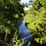 River Wey tributary